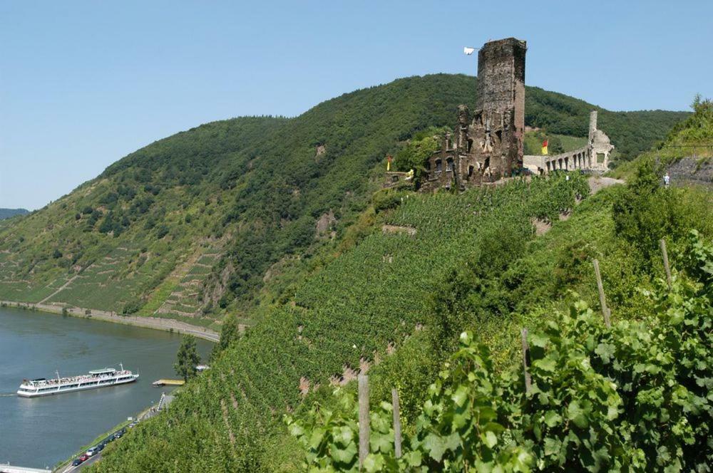 Ferienhaus Erich Bremm Mit Moselblick Neef Esterno foto
